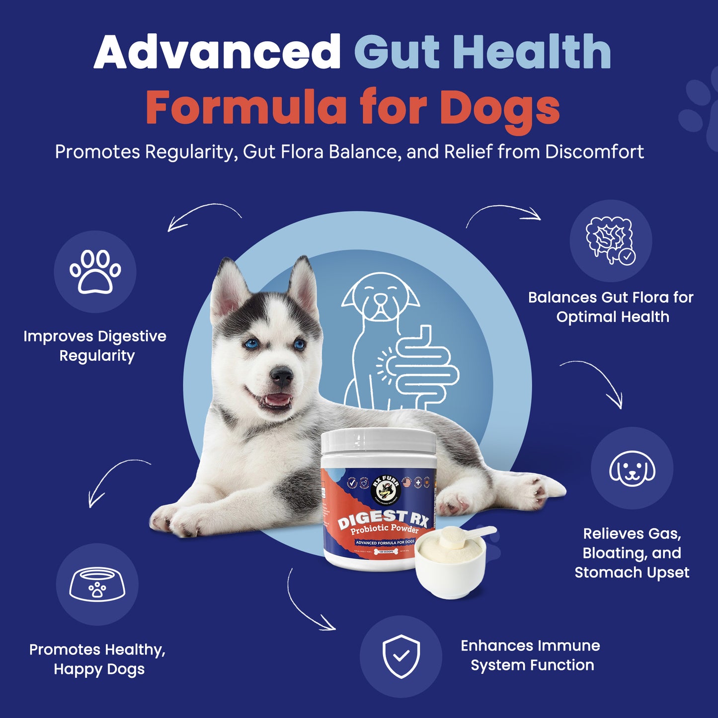 Rx-Furr Probiotics for Dogs– Gut & Immune Support